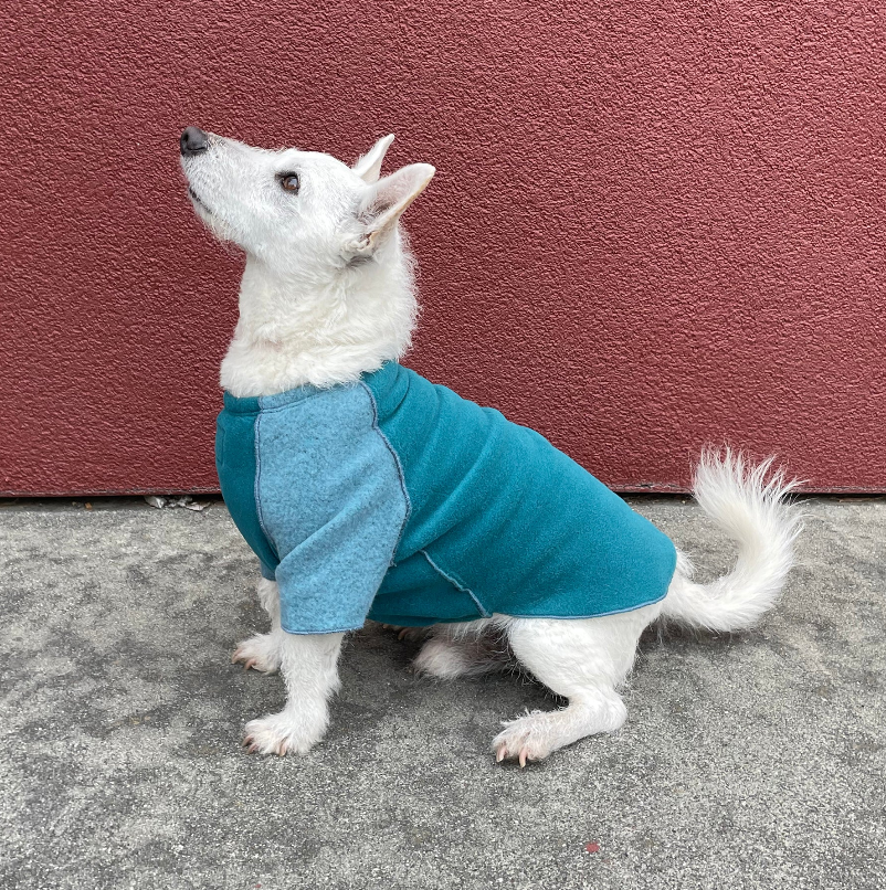 Dog Jacket now on SALE was $36